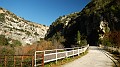 DSCN6846