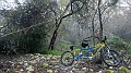DSCN6849
