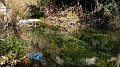 DSCN6853