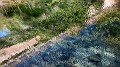 DSCN6854