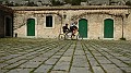DSCN6863