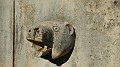 DSCN6869