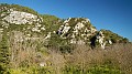 DSCN6878