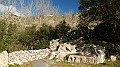 DSCN6889