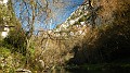 DSCN6903