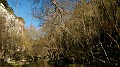 DSCN6909