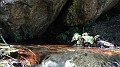 DSCN6911