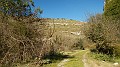 DSCN6917