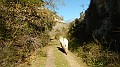DSCN6920
