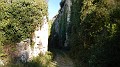 DSCN6921