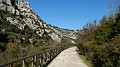 DSCN6932
