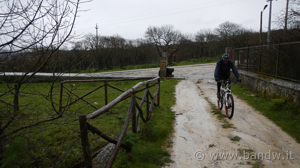 DSCN7956.JPG -                                