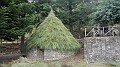 DSCN4368