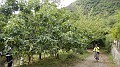 DSCN4395