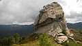 DSCN4421
