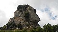 DSCN4429