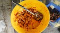 DSCN4430