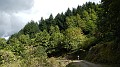 DSCN4473