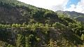 DSCN4477