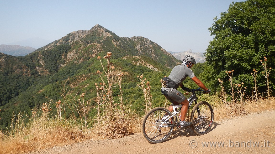 DSCN3630.JPG - L'uomo in Cannondale 29R