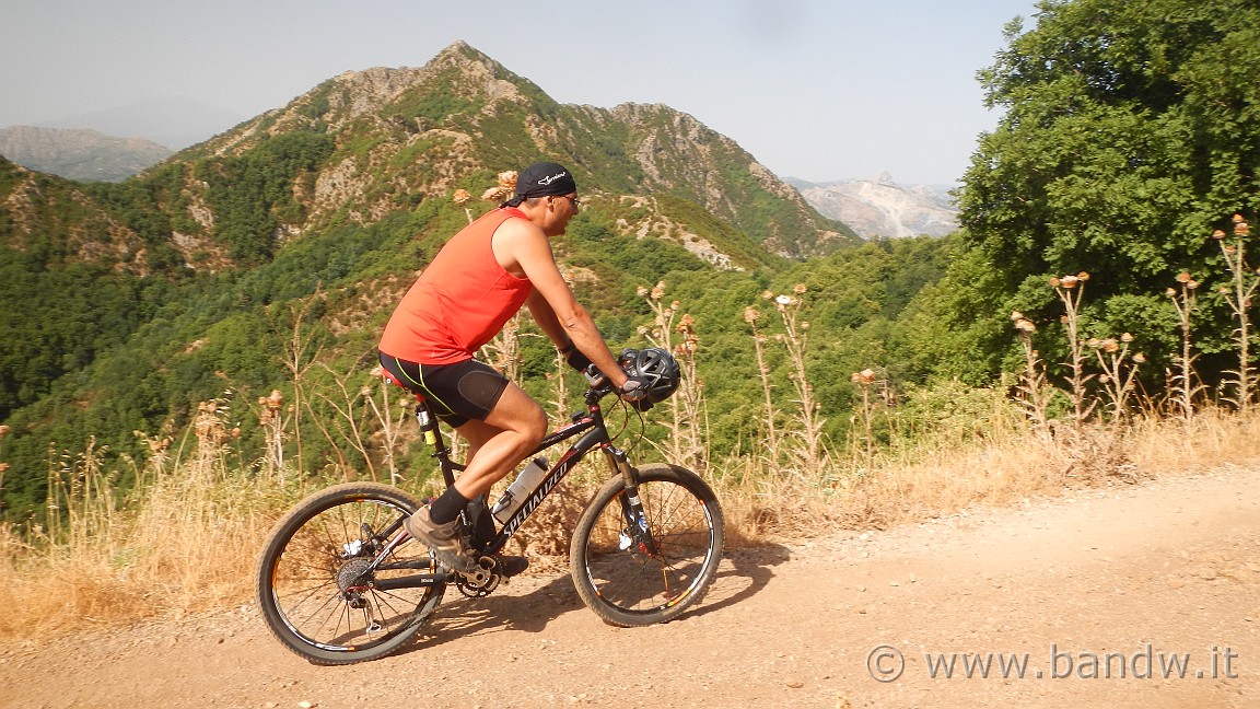 DSCN3631.JPG -                                