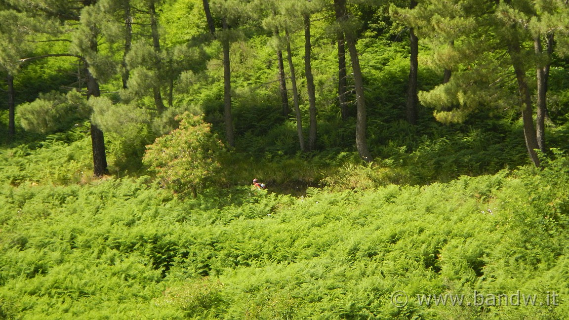 DSCN3654.JPG -                                