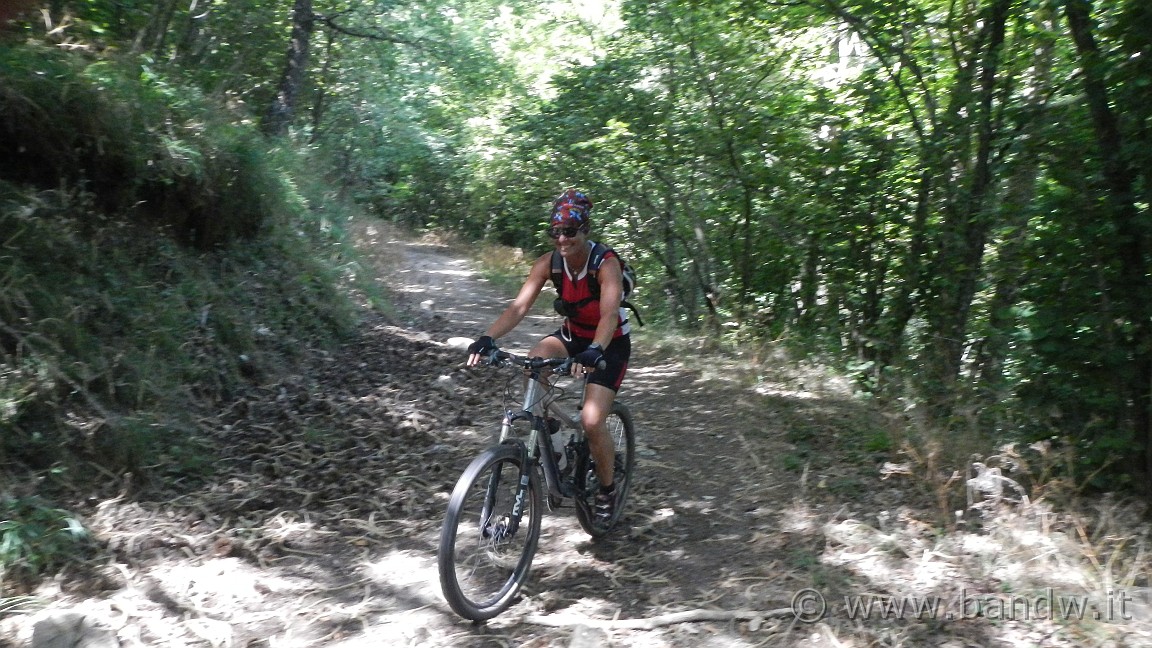 DSCN3657.JPG -                                