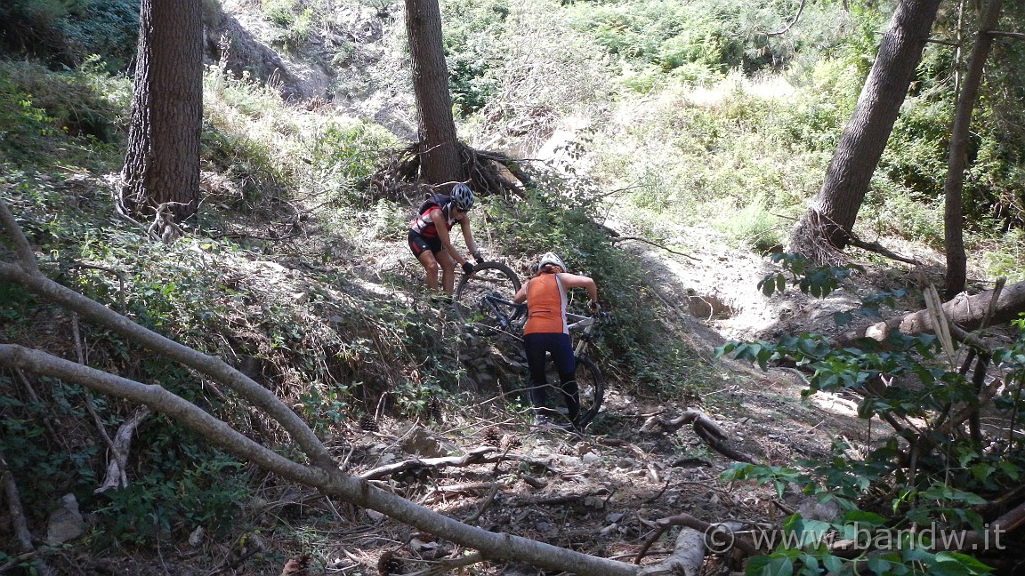 DSCN3673.JPG -                                