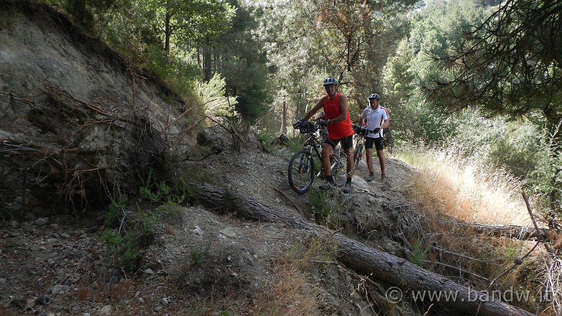 DSCN3681.JPG -                                