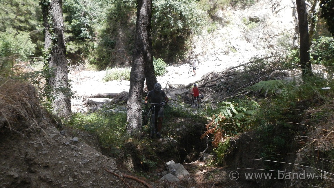 DSCN3696.JPG -                                