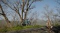 DSCN8134