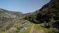 DSCN8137