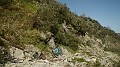 DSCN8144