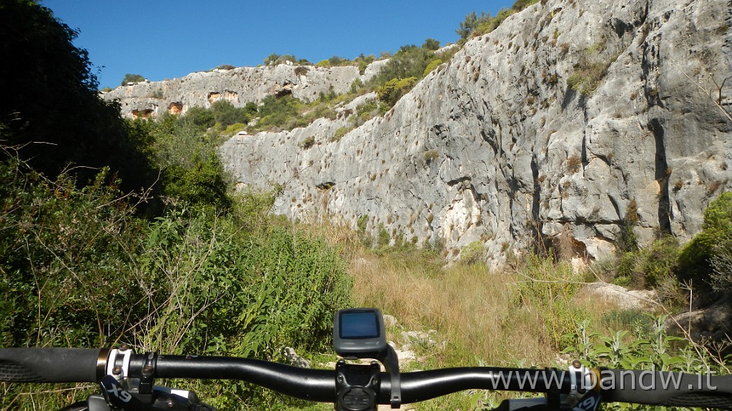 DSCN4436.JPG -                                