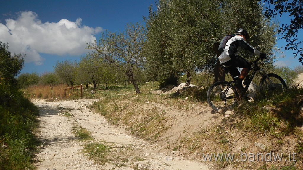 DSCN4450.JPG -                                