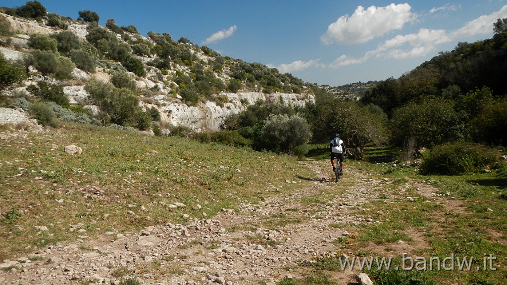 DSCN4457.JPG -                                