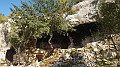 DSCN4429