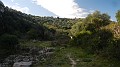 DSCN4431