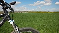 DSCN4446