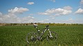 DSCN4447