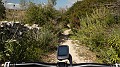 DSCN4451