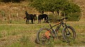 DSCN5429