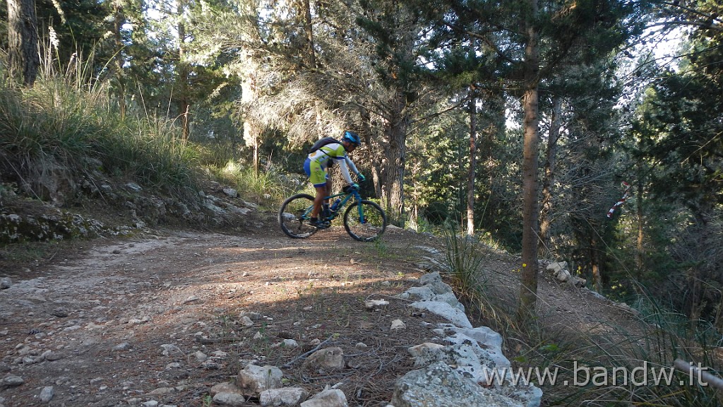 DSCN6215.JPG -                                