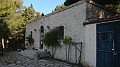 DSCN6211