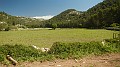 DSCN6231