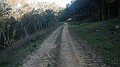 DSCN4203