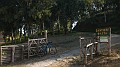 DSCN4208
