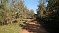 DSCN4209