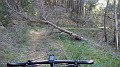 DSCN4214