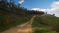 DSCN4225